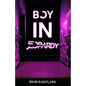 Boy in Jeopardy - Paperback
