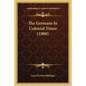 The Germans In Colonial Times (1900) - Paperback