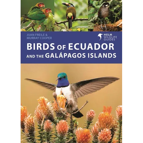 Birds of Ecuador and the Galápagos Islands - Paperback