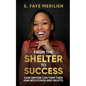 From the Shelter to Success: How Anyone Can Turn Their Pain into Power - Paperback