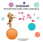 Cheddar the Puppy Who Loves, Loves, Loves Balls - Paperback