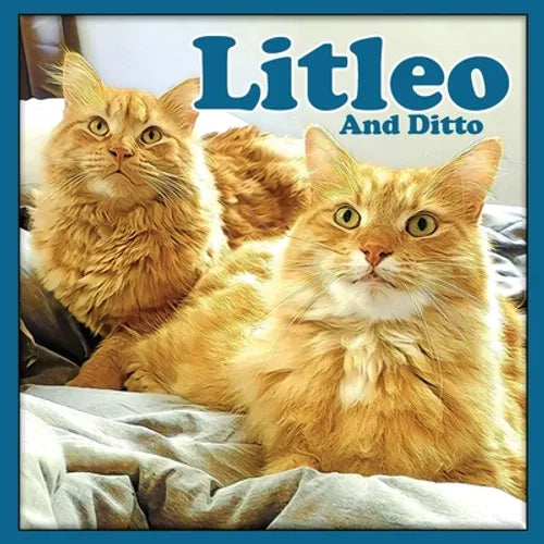 Litleo And Ditto - Paperback