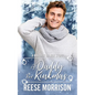 A Daddy for Kinkmas: MM Holiday Romance - Paperback