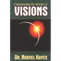 Understanding the Ministry of Visions - Paperback