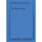Wild Goose Dreams - Paperback
