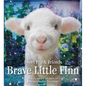 Brave Little Finn - Hardcover