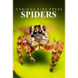 Spiders - Curious Kids Press: Kids book about animals and wildlife, Children's books 4-6 - Paperback