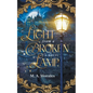 Light from a Broken Lamp - Paperback