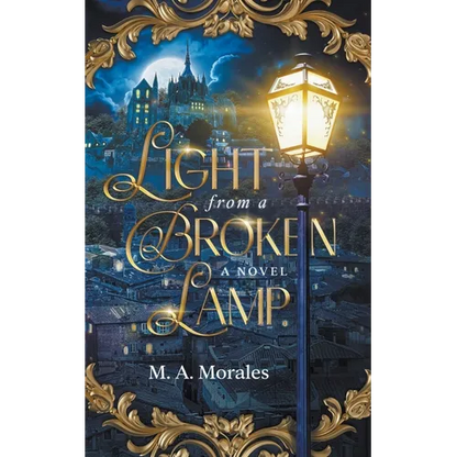 Light from a Broken Lamp - Paperback