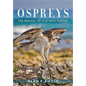 Ospreys: The Revival of a Global Raptor - Hardcover