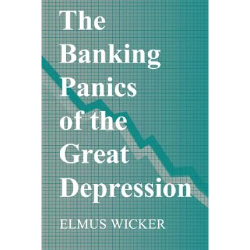 The Banking Panics of the Great Depression - Paperback