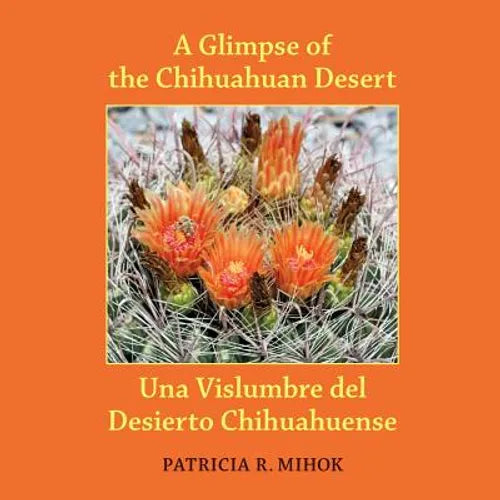 A Glimpse of the Chihuahuan Desert: Una Vislumbre del Desierto Chihuahuense - Paperback
