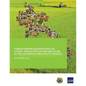 Strengthening Foundations for a Food-and Nutrition-Secure Future in the Lao People's Democratic Republic - Paperback
