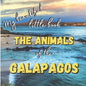 My Beautiful Little Book - The Animals Of The Galapagos: Discover the animals of this beautiful islands with incredible pictures - Paperback