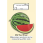 Composition Book: Wide Rule- Watermelon - Paperback