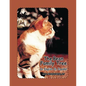 The Bean Family Tree: In English and Spanish - Paperback