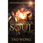 A Dungeon's Soul: Book 3 of the Adventures on Brad - Paperback