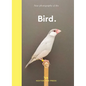 New Photography of the Bird. - Hardcover