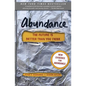 Abundance: The Future Is Better Than You Think - Paperback