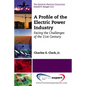 A Profile of the Electric Power Industry: Facing the Challenges of the 21st Century - Paperback