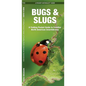 Bugs & Slugs: A Folding Pocket Guide to Familiar North American Invertebrates