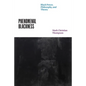 Phenomenal Blackness: Black Power, Philosophy, and Theory - Hardcover