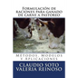Formulación de raciones para ganado de carne a pastoreo: Métodos, Modelos y Aplicaciones - Paperback