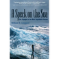 A Speck on the Sea: Epic Voyages in the Most Improbable Vessels - Paperback