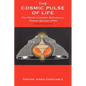 The Cosmic Pulse of Life: The Revolutionary Biological Power Behind UFOs - Paperback