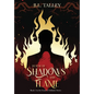 Realm of Shadows and Flame: Book 1 in the Court of Infinites Series - Hardcover