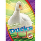 Ducks - Library Binding