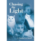 Chasing the Light - Paperback