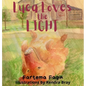 Luca Loves The Light - Hardcover