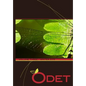 Odet Vol. 3 - Paperback