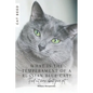 What is the temperament of a Russian Blue cat?: Find out more about your pet - Paperback