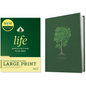 NLT Life Application Study Bible, Third Edition, Large Print (Red Letter, Hardcover) - Hardcover