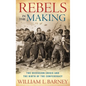 Rebels in the Making: The Secession Crisis and the Birth of the Confederacy - Hardcover