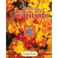 Year of Gratitude - Large Print (Daily Prayer Books) - Hardcover