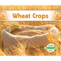 Wheat Crops - Library Binding