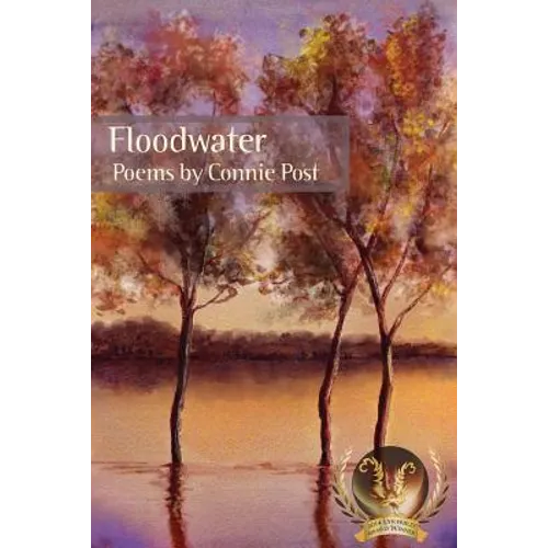 Floodwater - Paperback