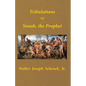 Tribulations of Yonah, the Prophet - Paperback