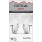 Critical Spirit: Confronting the Heart of a Critic - Paperback