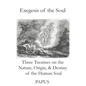 Exegesis of the Soul: Three Treatises on the Nature, Origin, & Destiny of the Human Soul - Paperback