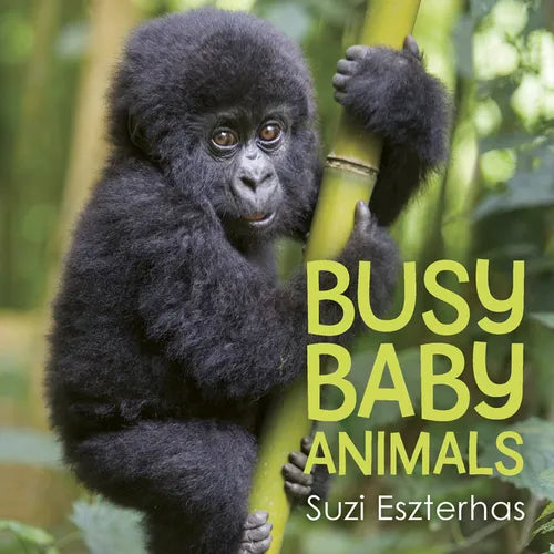 Busy Baby Animals - Board Book