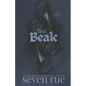 The Beak: A Dark Serial Killer Romance Novelette - Paperback