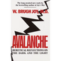 Avalanche: Heretical Reflections on the Dark and the Light - Paperback