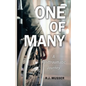 One of Many: A Posttraumatic Journey - Paperback