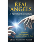 Real Angels and Spiritual Encounters: Experiences, Messages and Guidance - Paperback