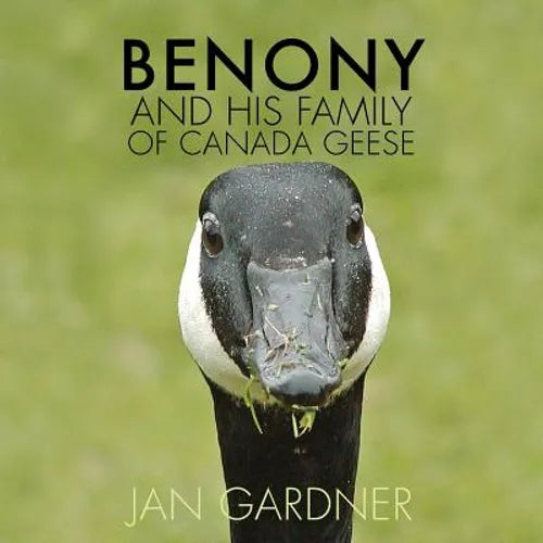 Benony and His Family of Canada Geese - Paperback