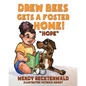 Drew Bees Gets a Foster Home!: "Hope" - Paperback